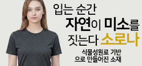 상단 배너2